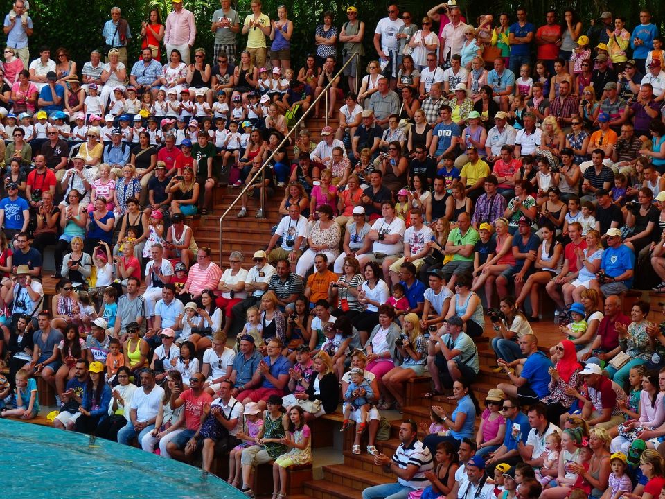 viewers, auditorium, show-406742.jpg